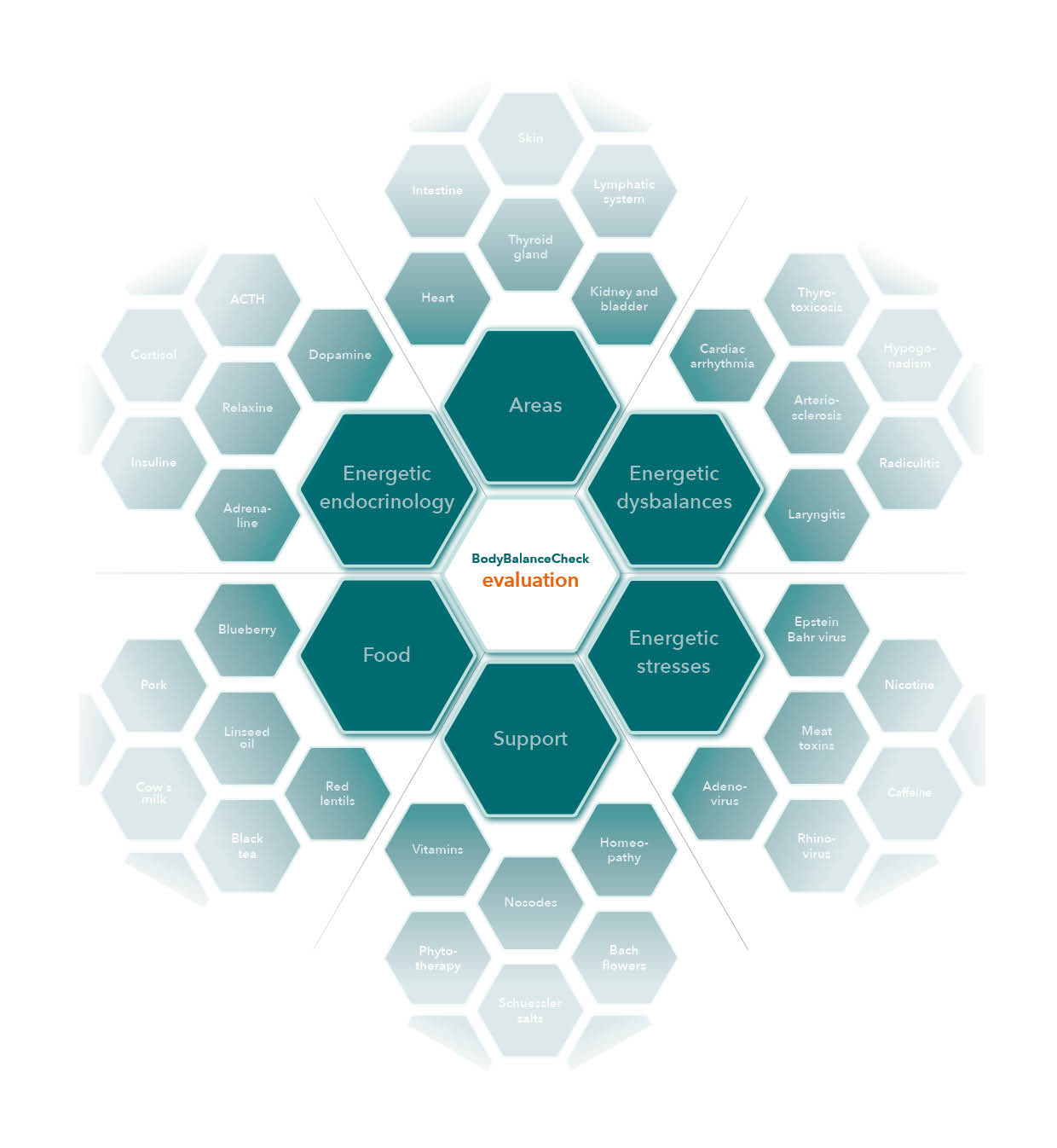 bbc-web-grafik-bbc-auswertungsgruppen
